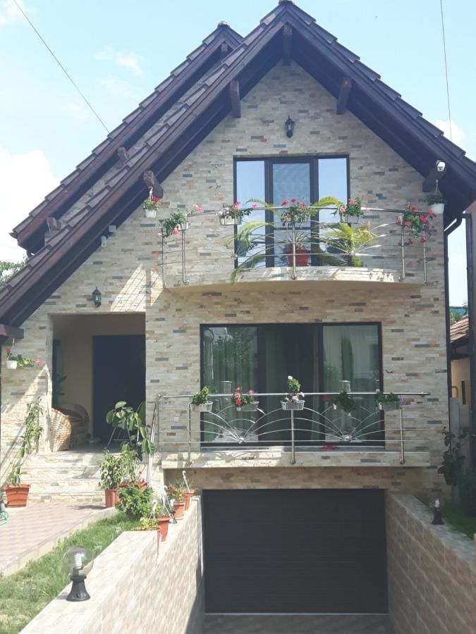 Гостевой дом Vila Alexia Кэлимэнешти