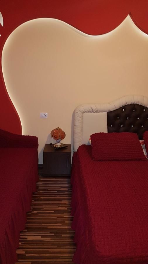 Гостевой дом Vila Alexia Кэлимэнешти