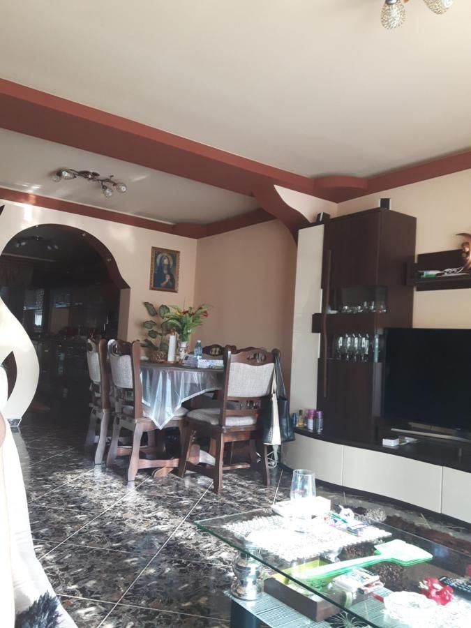 Гостевой дом Vila Alexia Кэлимэнешти