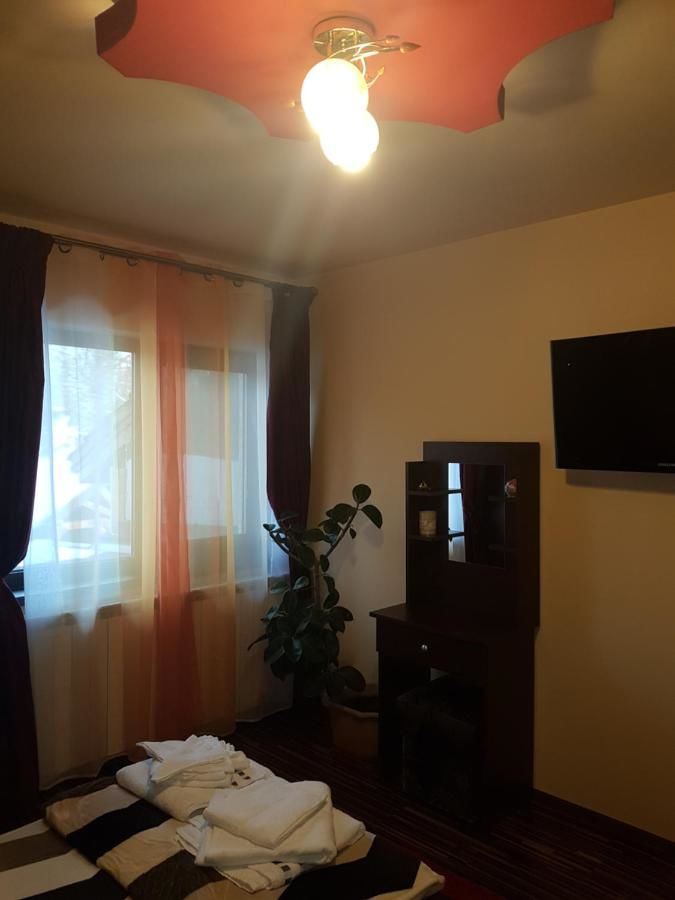 Гостевой дом Vila Alexia Кэлимэнешти