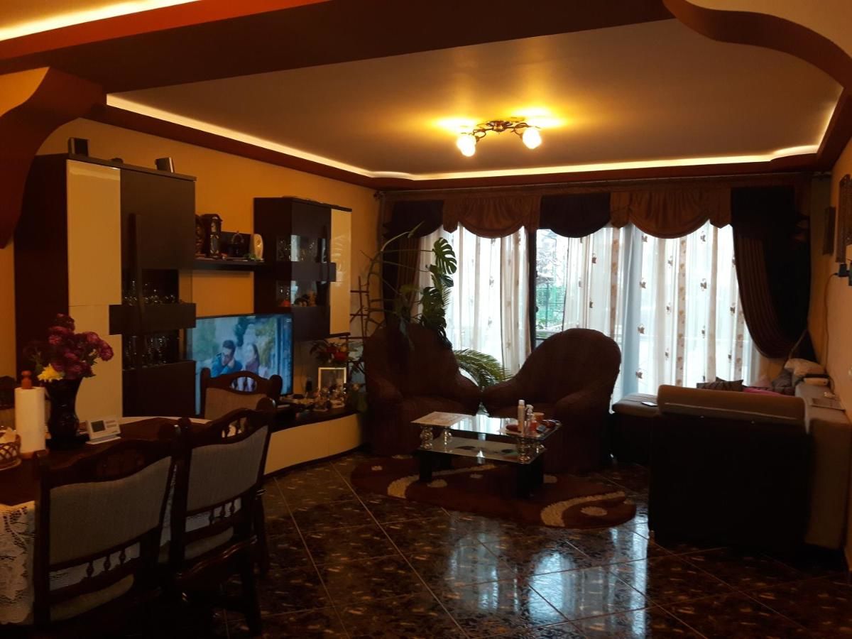 Гостевой дом Vila Alexia Кэлимэнешти