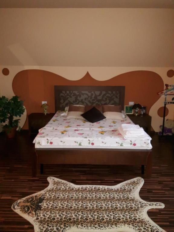 Гостевой дом Vila Alexia Кэлимэнешти