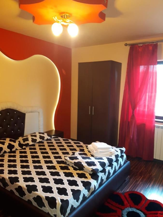 Гостевой дом Vila Alexia Кэлимэнешти