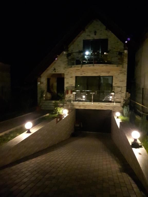 Гостевой дом Vila Alexia Кэлимэнешти