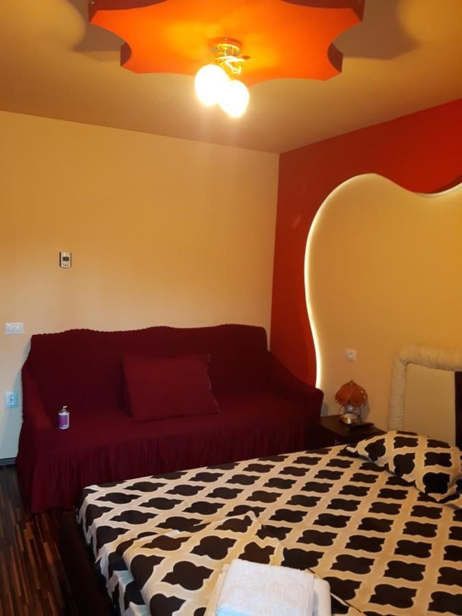 Гостевой дом Vila Alexia Кэлимэнешти