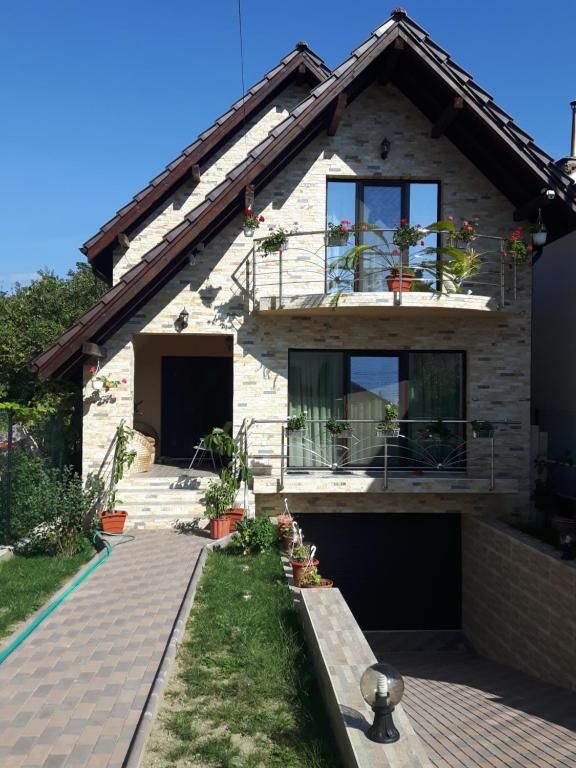 Гостевой дом Vila Alexia Кэлимэнешти